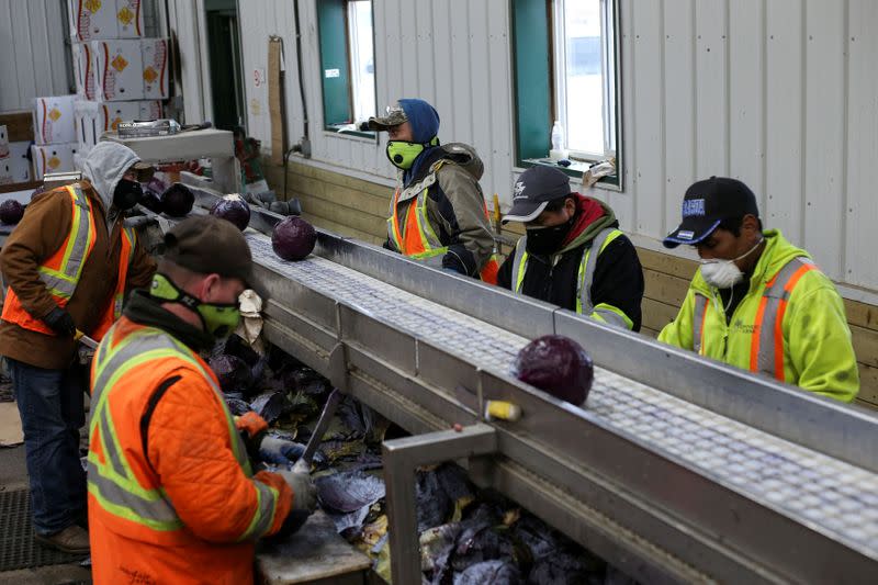 FILE PHOTO: Migrant workers wear masks and practice social distancing in Portage la Prairie