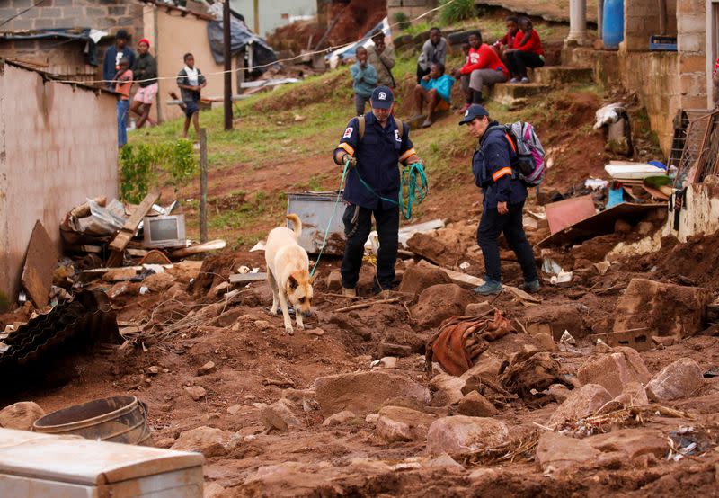 A search and rescue team use a dog to search for bodies in Dassenhoek near Durban