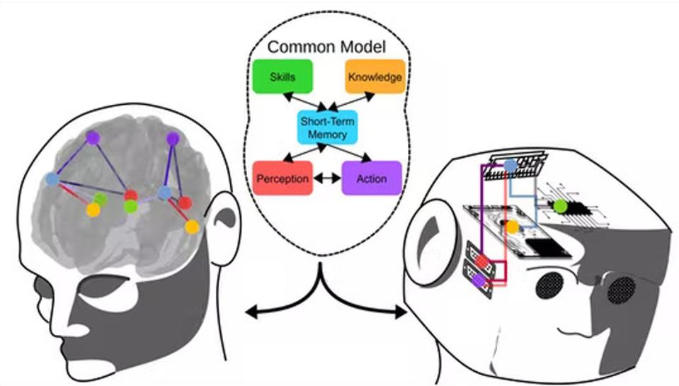 This basic model of cognition both explains human thinking and provides a blueprint for true artificial intelligence. Andrea Stocco, <a href="http://creativecommons.org/licenses/by-nd/4.0/" rel="nofollow noopener" target="_blank" data-ylk="slk:CC BY-ND;elm:context_link;itc:0;sec:content-canvas" class="link ">CC BY-ND</a>