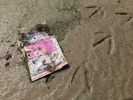 A used package of carbofuran, a powerful pesticide, lies on the shores of Poyang lake in Jiangxi province, China March 23, 2018. Picture taken March 23, 2018. REUTERS/James Pomfret