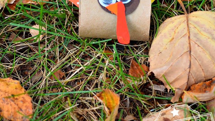 toilet paper roll turkey thanksgiving crafts for kids