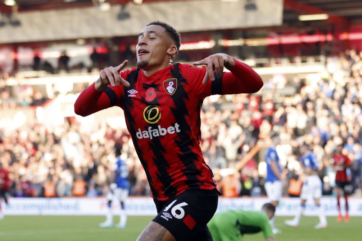 Marcus Tavernier scored the winner for Bournemouth at Wolves (Steven Paston/PA) (PA Wire)