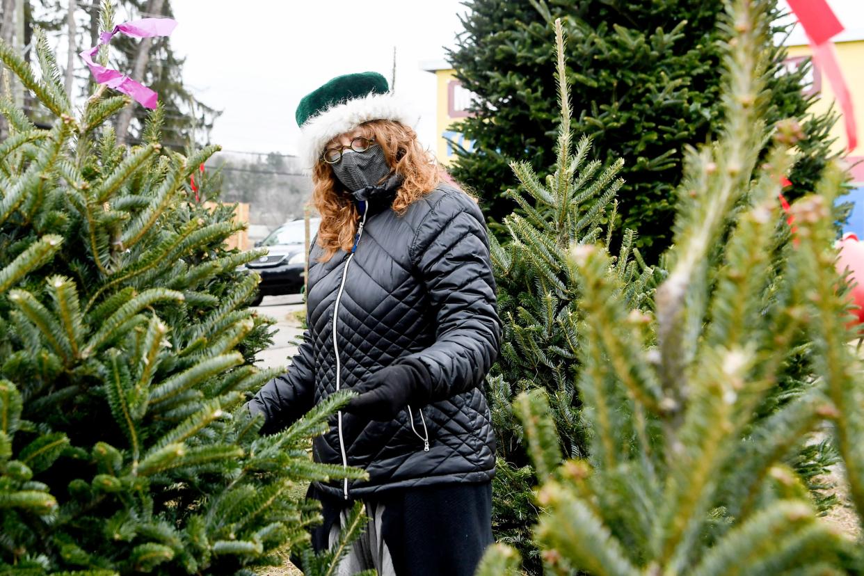 Katherine Caldwell, of Swannanoa, looks for a tree at Boyd's Christmas Trees December 7, 2020 in Asheville.