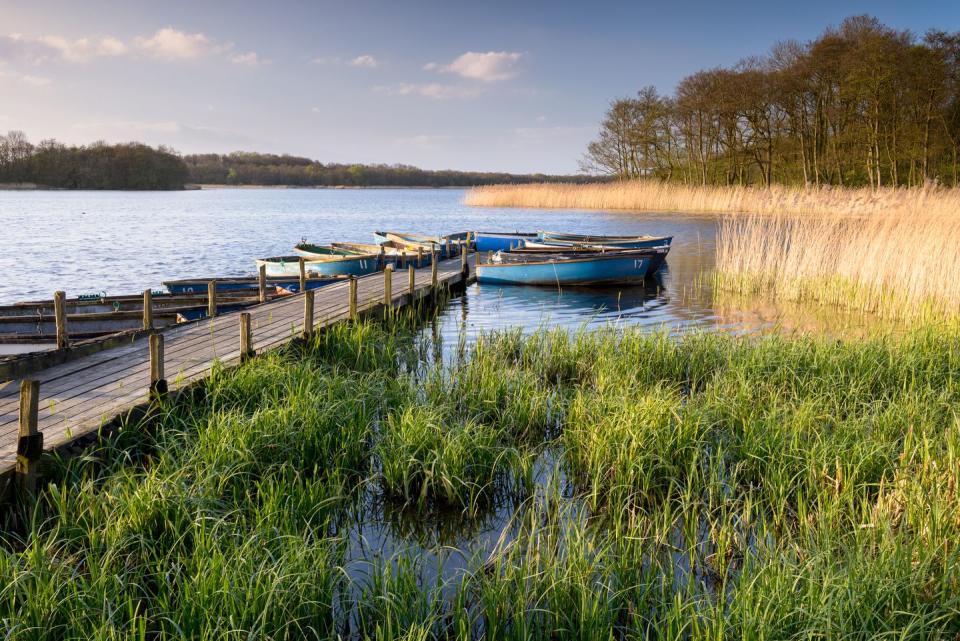 moored rowing boat on the norfolk broads