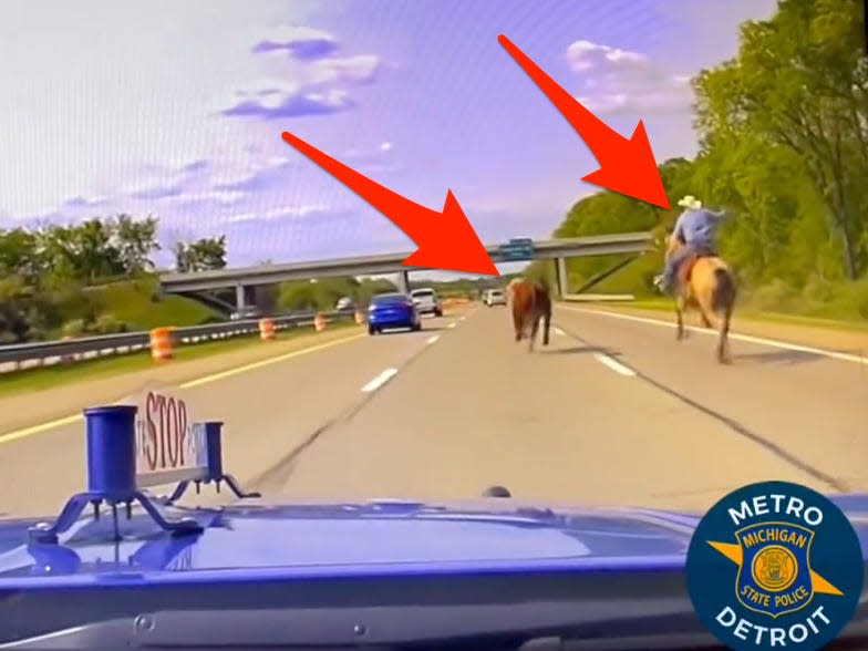 screenshot of cowboy on horseback chasing after cow on freeway