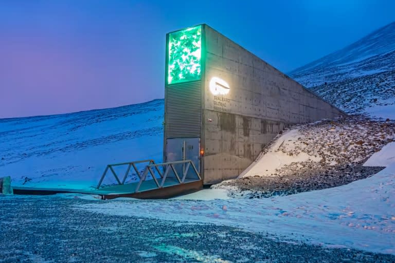 El Banco Mundial de Semillas de Svalbard es un almacén subterráneo situado en la isla de Spitsbergen, en el archipiélago noruego