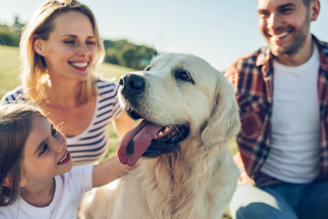 Happy family is having fun with golden retriever