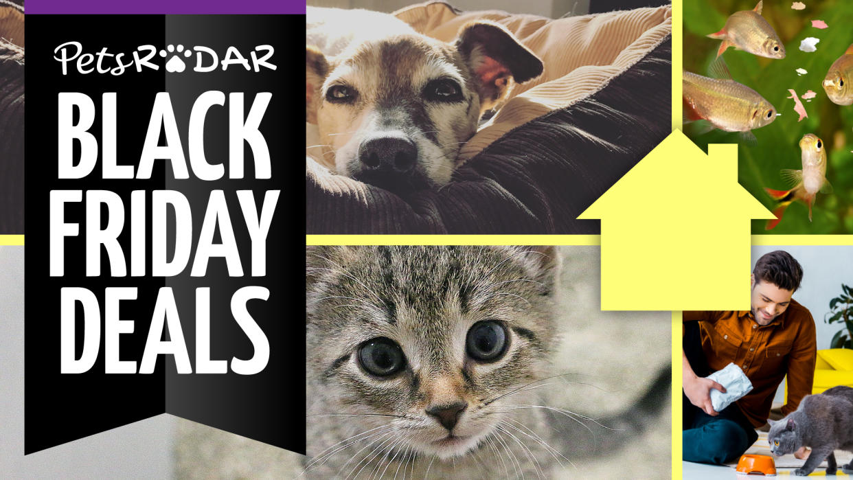  Black Friday pet deals image displaying PetsRadar logo alongside dog and cat. 