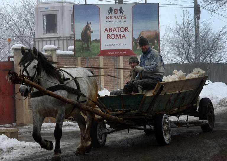 A horse-drawn cart passes by the entrance of "Doly-Com" abattoir, one of the two Romanian companies exporting horse meat to EU countries, in Roma, 450km north from Bucharest, on February 12, 2013. Romania's Agriculture Minister Daniel Constantin insisted Wednesday that "all the horsemeat provided by the Romanian companies that was placed on the EU market was correctly labelled."