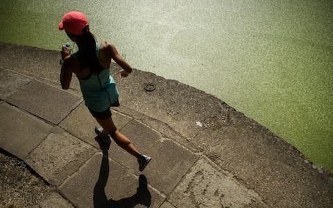 A jogger runs past the green coating on Regent's Canal following a huge increase in the amount of duck weed on the waterway - Credit: Leon Neal /Getty