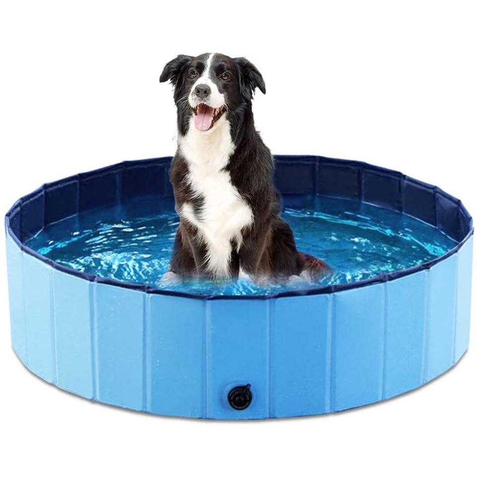 Jasonwell foldable dog pool