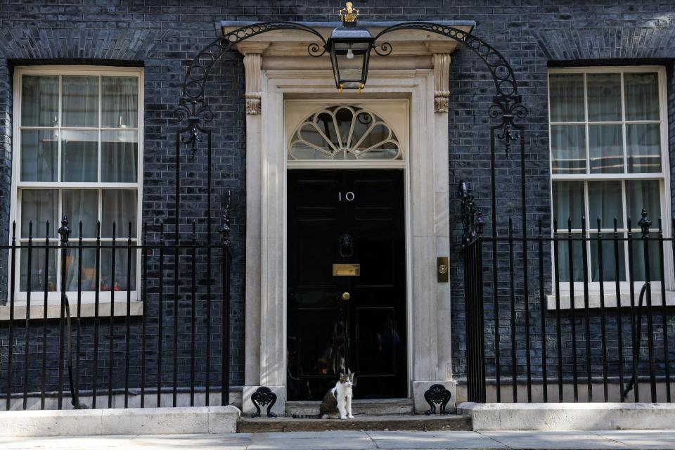 Larry the cat sits in front of the door ahead of U.S. president Joe Biden’s arrival at 10 Downing Street in London (REUTERS)