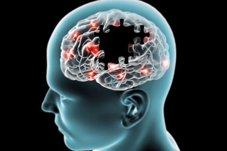 A partir de los 50 años la zona del cerebro encargada de recuperar recuerdos es menos eficiente, sostienen en un estudio