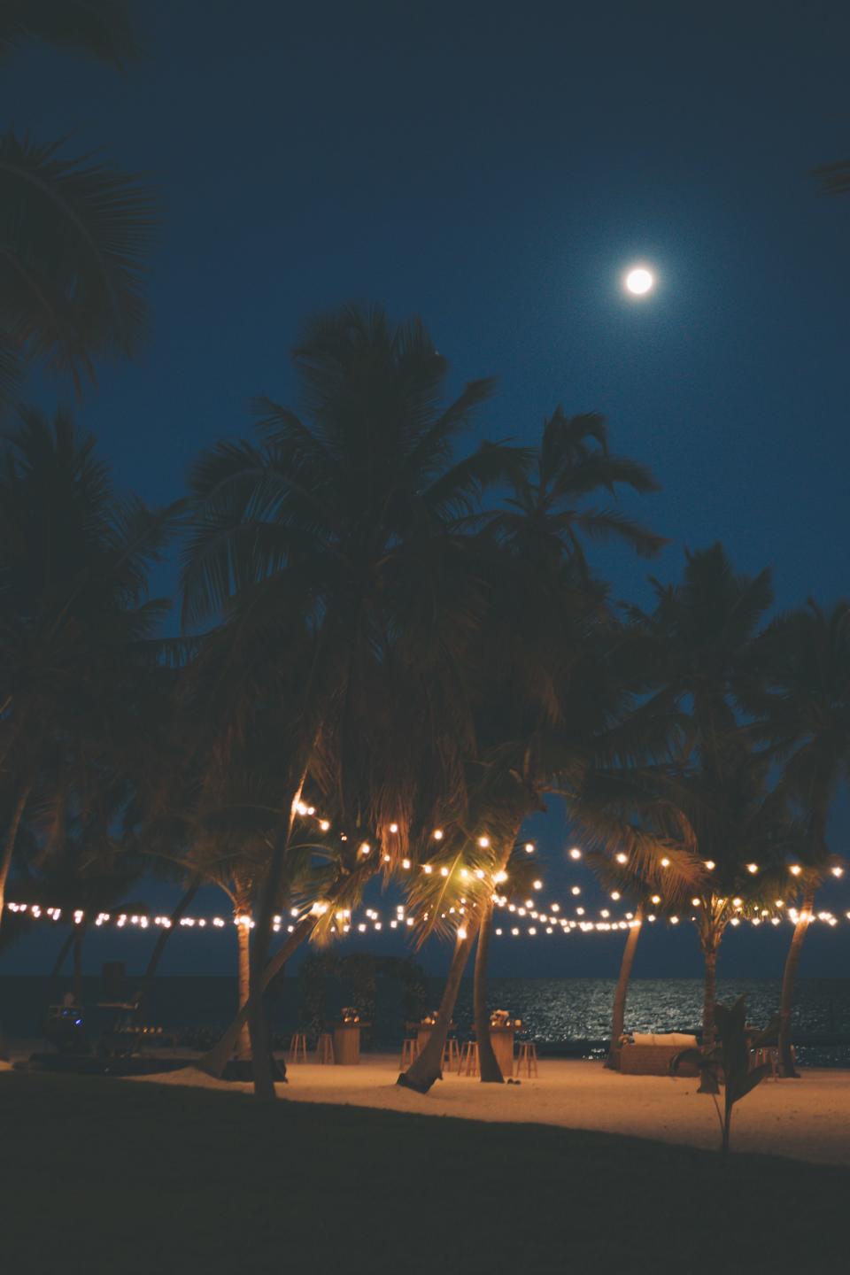 Dinner under the stars, a canopy of coconut trees, and the full moon. It was such a beautiful night.