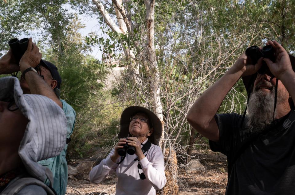 Nancy Meister (center, with the Yuma Audubon Society) leads a bird walk on April 12, 2023, at East Wetlands, in Yuma.