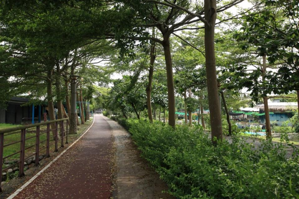 東豐自行車道兩側綠意夾道，宛若一條綠色大甲溪。圖/台中觀光旅遊網 