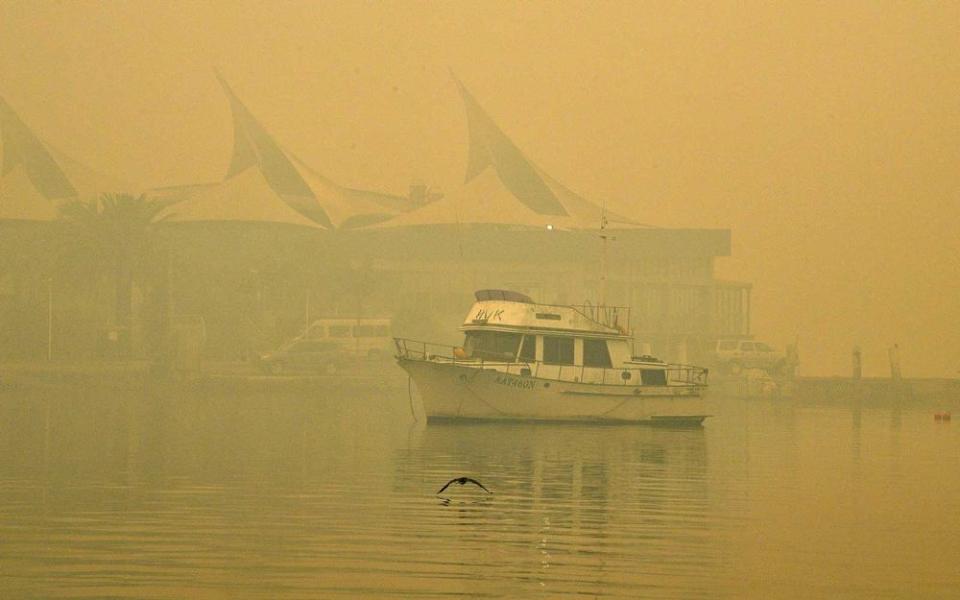 A bird flies as thick toxic smoke from bushfires cutting through inland forests is seen in Gosford north of Sydney on December 10, 2019. | SAEED KHAN/Getty Images