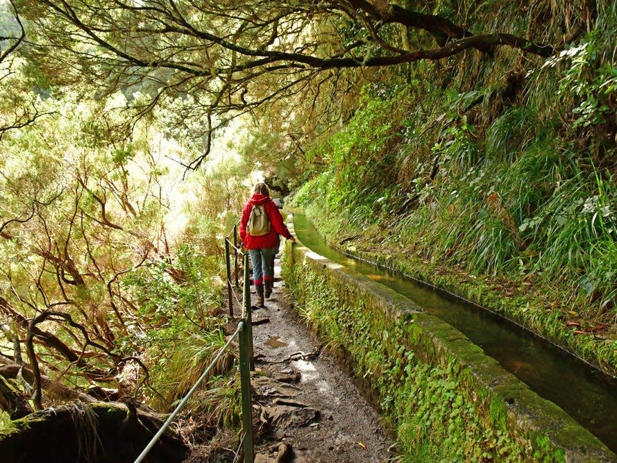 Risco; Madeira; Portugal - february 24 2018 : the 25 fountains levada walk