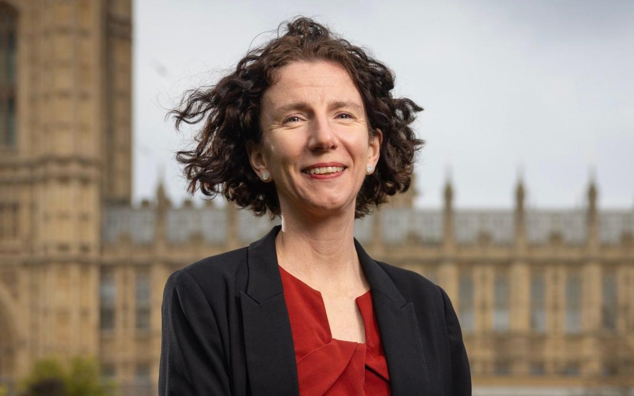 Labour Party chairman Anneliese Dodds