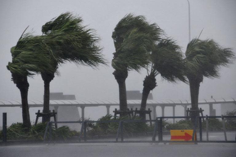 Roadside trees are blown by strong winds brought on by powerful typhoon Vongfong in Miyazaki, Japan's southern island of Kyushu on October 12, 2014