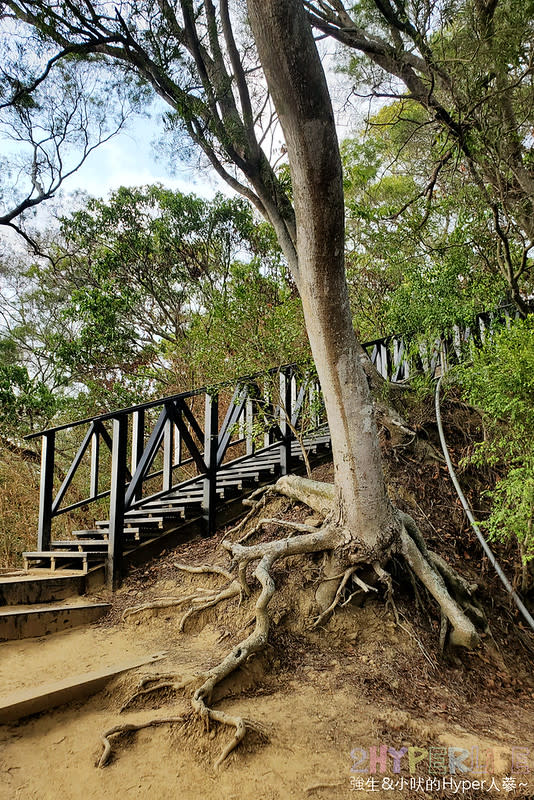 台中大坑六號七號登山步道