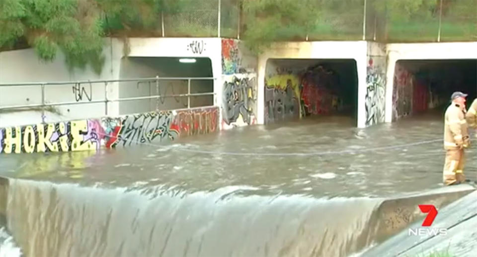 A mother, two children, and the family dog were trapped in waist-deep storm water. Source: 7 News