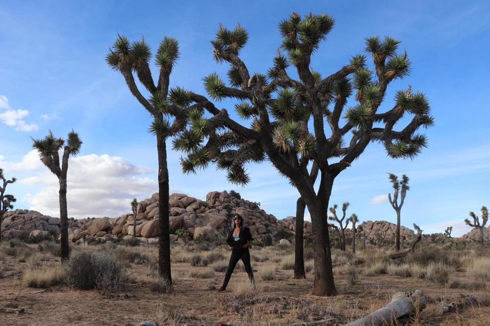 California's Joshua Tree is Hindle's favourite holiday destination (Dawn Hindle)