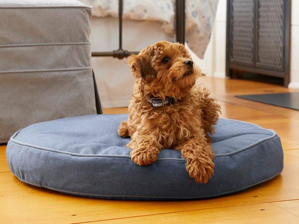 LL Bean Premium Denim Dog Bed