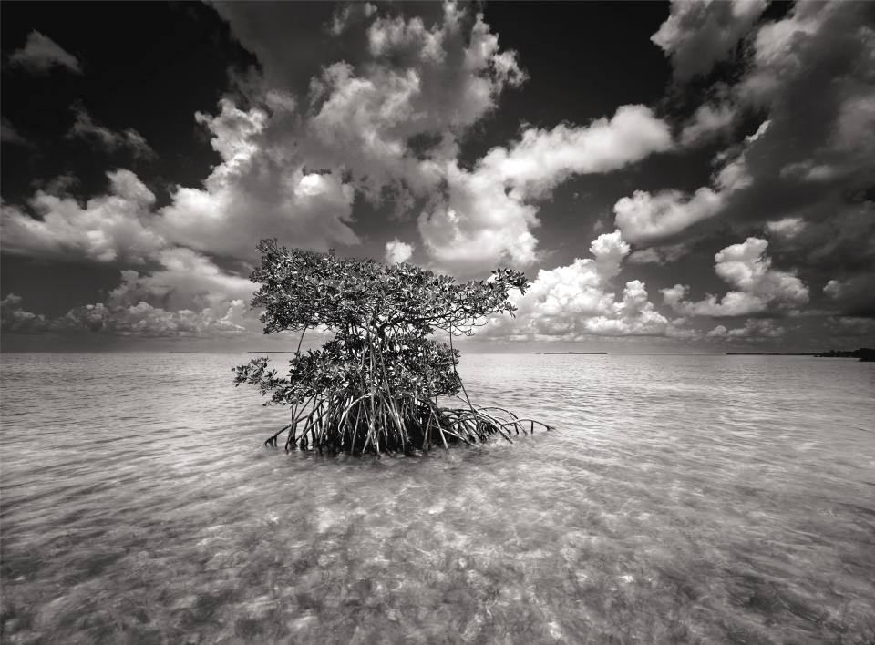 "Shell Key" by renowned Florida nature photographer Clyde Butcher