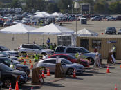 Motorists wait in long lines to take a coronavirus test in a parking lot at Dodger Stadium in Los Angeles on Thursday, Nov. 19, 2020. (AP Photo/Damian Dovarganes)