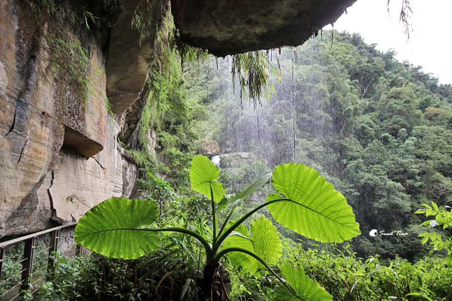 竹坑溪步道