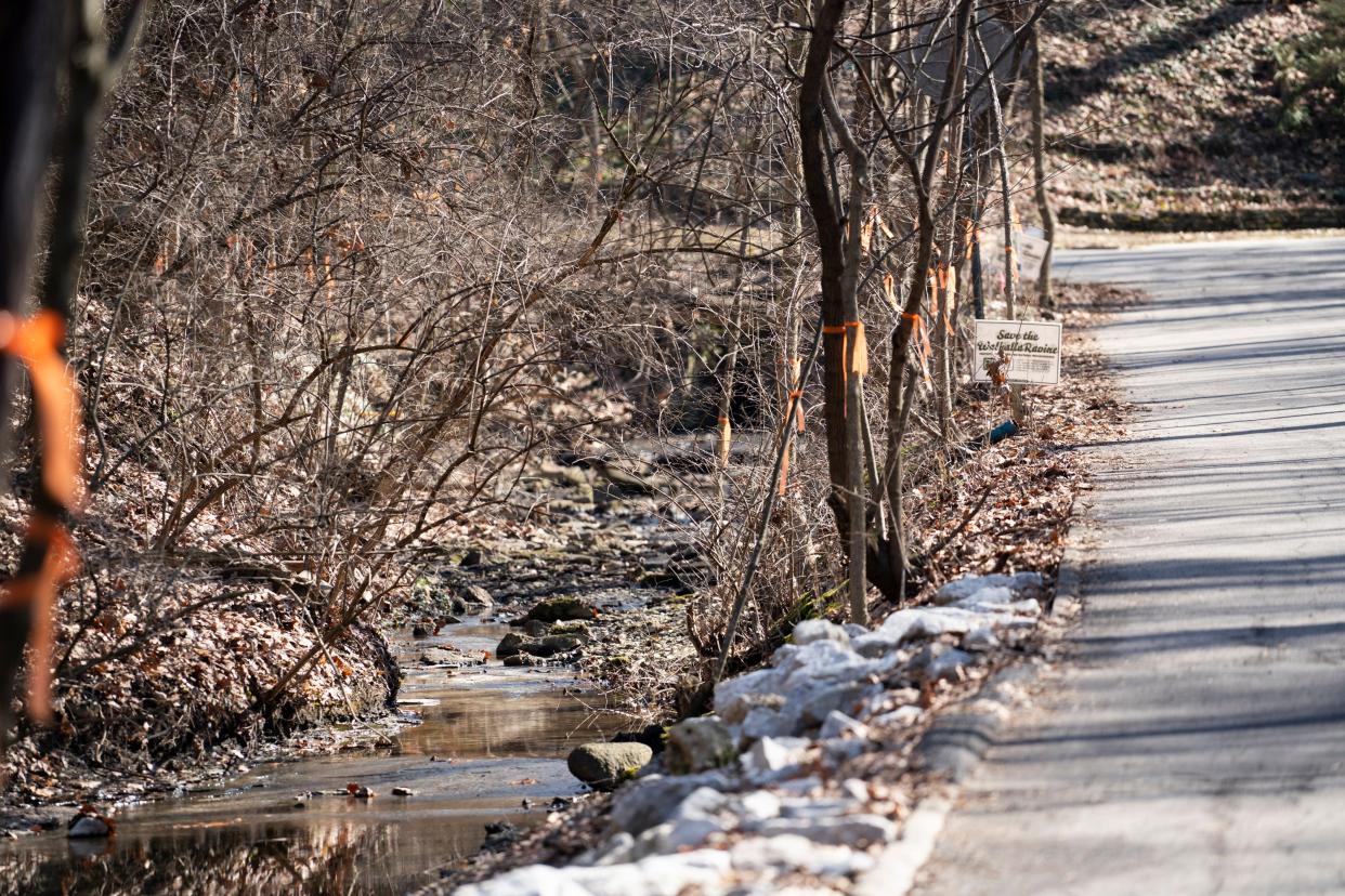 The city is creating a plan to deal with storm water in Walhalla Ravine, including possibly a retaining wall and guardrail along the road between Clinton Heights and Longview avenues, west of Indianola. Some people want the city to close part of road; many people walk the road through the ravine.