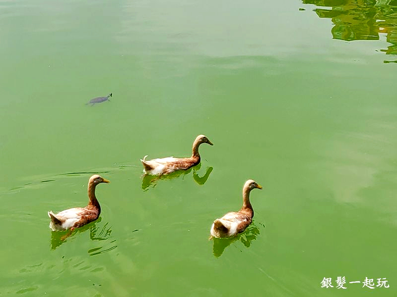 豐樂公園