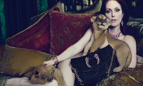 <p>Woot-woo! 49-year-old actress Julianne Moore recently appeared in this stunning advert for fashion house Bvlgari, wearing nothing but some jewels and a pair of lion cubs (as you do). A billboard featuring the ad was taken down in Venice for being 'too sexy', and a few animal cruelty groups said it was inappropriate to feature baby animals next to leather good. Aww. <br><br><a rel="nofollow" href="http://au.movies.yahoo.com/galleries/gallery/10405649/celebs-gone-bald-for-film-roles/" data-ylk="slk:PICS: Celebs gone bald for film roles;elm:context_link;itc:0;sec:content-canvas" class="link ">PICS: Celebs gone bald for film roles</a></p>