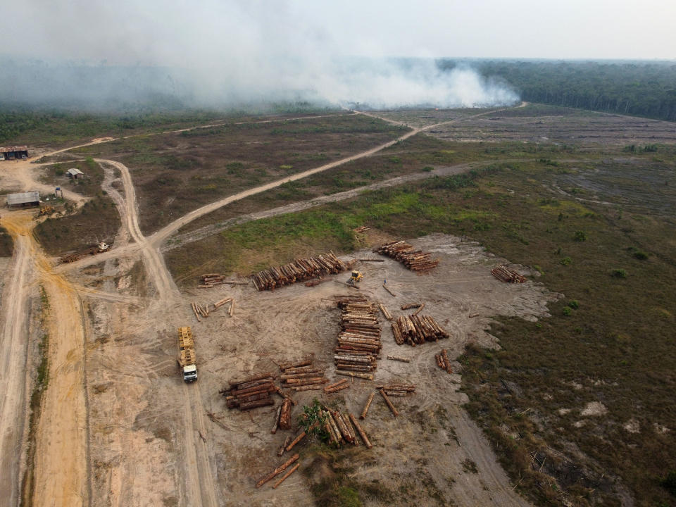 Aerial view of an illegal logging operation in Humaitá, southern Amazonas State, Brazil