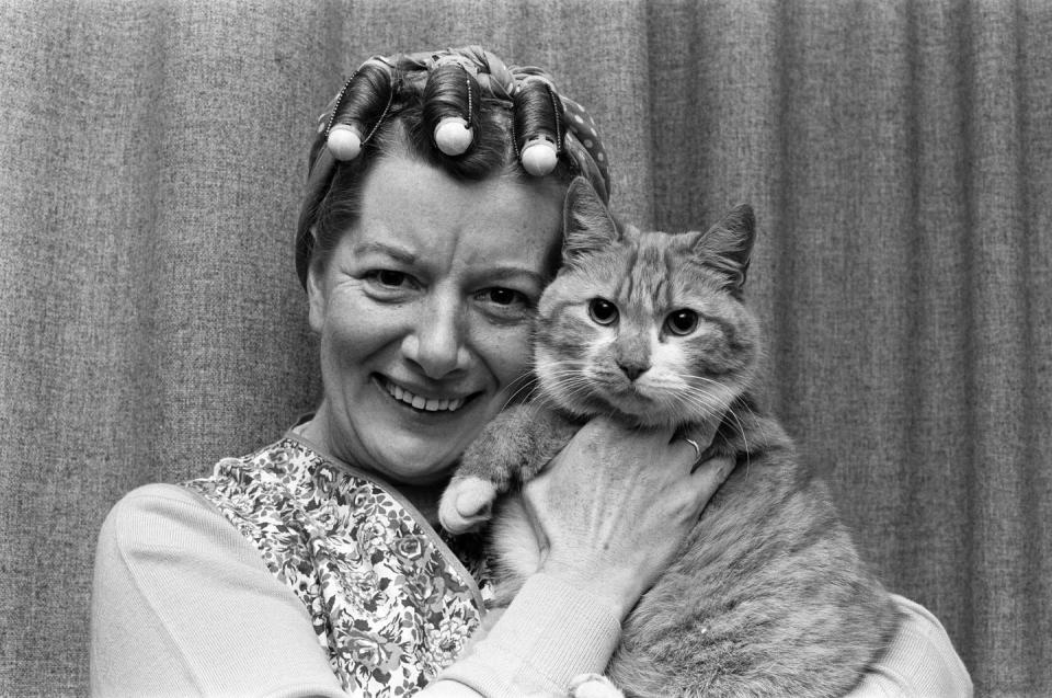 coronation street's jean alexander, hilda ogden, with the street's cat