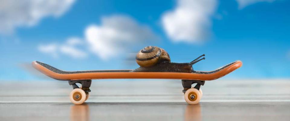 snail on a skateboard