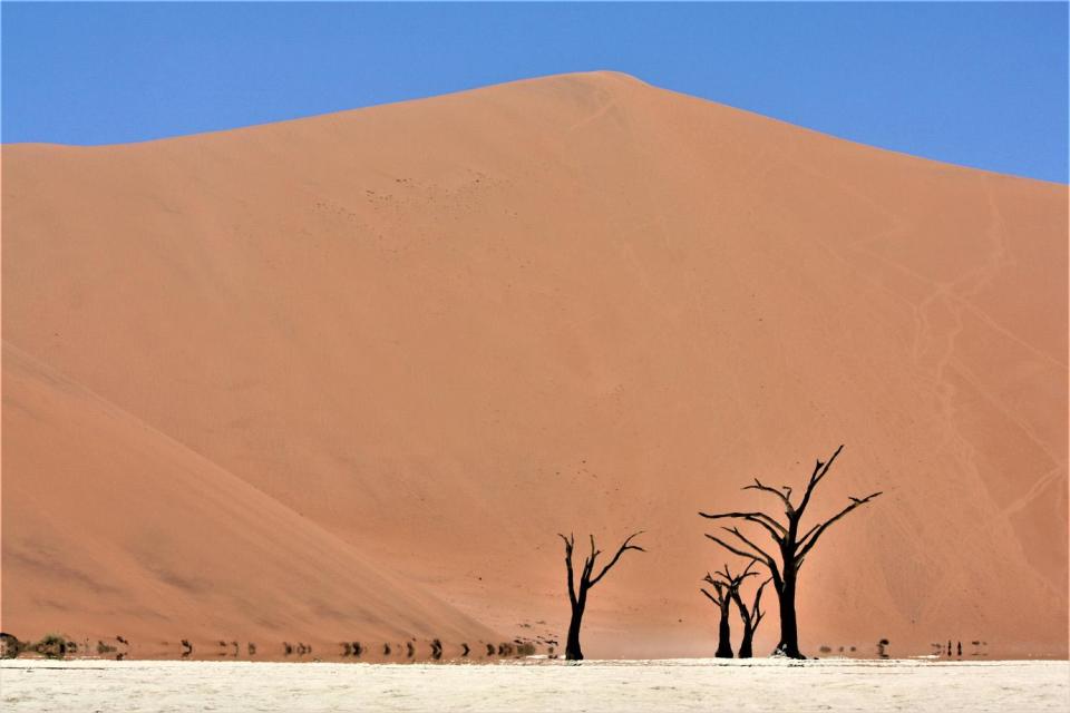 The Sonop Zannier Hotel will be located in the Namib Desert - a stock photo is used here (Unsplash)