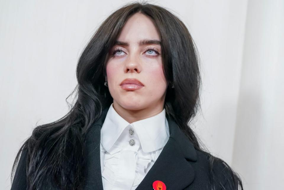 Billie Eilish at the 2024 Oscars, sporting a red ceasefire pin (EPA)