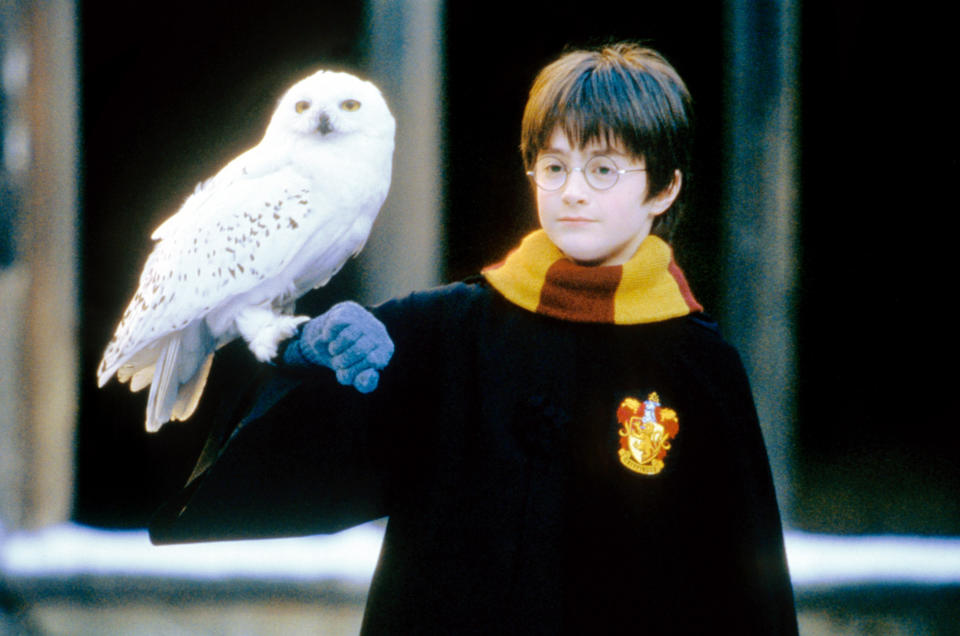 Daniel Radcliffe in Harry Potter and the Sorcerer's Stone