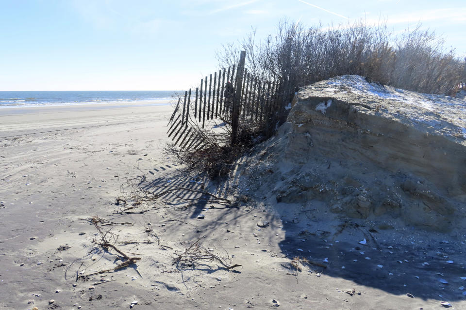 A severely eroded section of sand dune lines the beach in North Wildwood N.J., Jan. 22, 2024. A recent winter storm punched a hole through what is left of the city's eroded dune system, leaving it more vulnerable than ever to destructive flooding as the city and state fight in court over how best to protect the popular beach resort. (AP Photo/Wayne Parry)