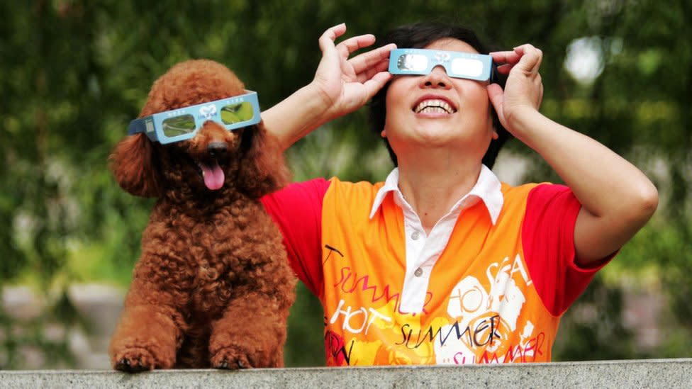 Perro y dueño con lentes de eclipse solar.