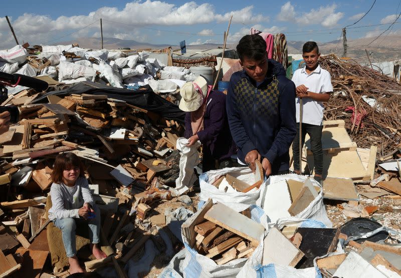 FILE PHOTO: Syrian refugees fill bags with scrap wood at an informal camp in the Bekaa Valley