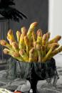 <p>Shape ready-made breadstick dough into fingers, tint with spray color, then top with an almond "fingernail" and poppy seeds.</p><p><a href="https://www.womansday.com/food-recipes/food-drinks/recipes/a10110/long-short-monster-fingers-recipe-121385/" rel="nofollow noopener" target="_blank" data-ylk="slk:Get the Monster Fingers recipe.;elm:context_link;itc:0;sec:content-canvas" class="link "><strong><em>Get the Monster Fingers recipe. </em></strong> </a></p><p><strong>What You'll Need: </strong><a href="https://www.amazon.com/Wilton-Halloween-Color-Mist-Spray/dp/B0046CKTPE?tag=syn-yahoo-20&ascsubtag=%5Bartid%7C10070.g.2575%5Bsrc%7Cyahoo-us" rel="nofollow noopener" target="_blank" data-ylk="slk:food color sprays;elm:context_link;itc:0;sec:content-canvas" class="link ">food color sprays</a> ($16; Amazon)</p>