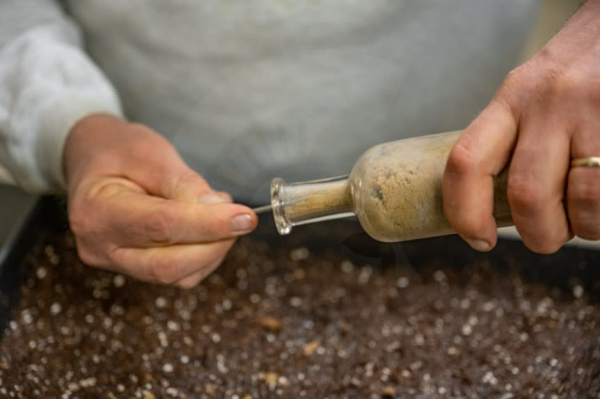 A man uses a small metal tool to pull sand and seeds out of a small glass bottle.