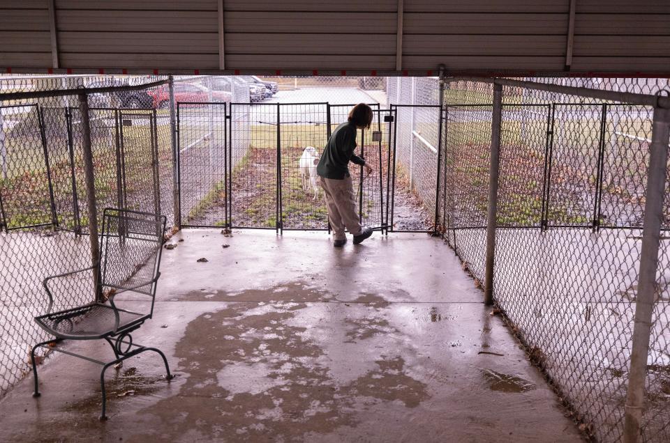 Stark County Dog Warden employee Melissa Loomis tries to lure a dog back to the cement area after he snuck through a temporary fence meant to keep the animals out of the mud.