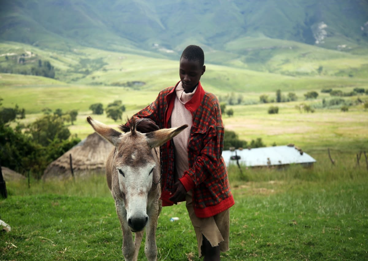 man with donkey in Lesotho, Africa