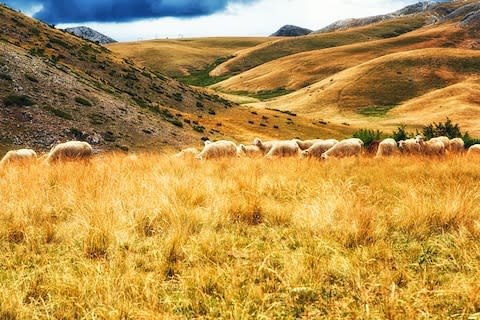 Mavrovo National Park - Credit: ISTOCK