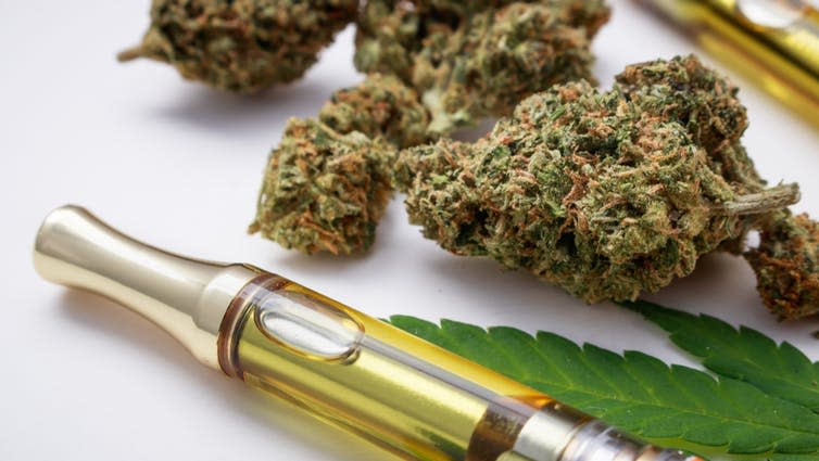 <span class="caption">Much of the vaping-related illness in the US is attributed to vaping cannabis.</span> <span class="attribution"><a class="link " href="https://www.shutterstock.com/image-photo/marijuana-buds-closeup-cannabis-oil-vape-1296943213" rel="nofollow noopener" target="_blank" data-ylk="slk:Shannon Laura/Shutterstock;elm:context_link;itc:0;sec:content-canvas">Shannon Laura/Shutterstock</a></span>