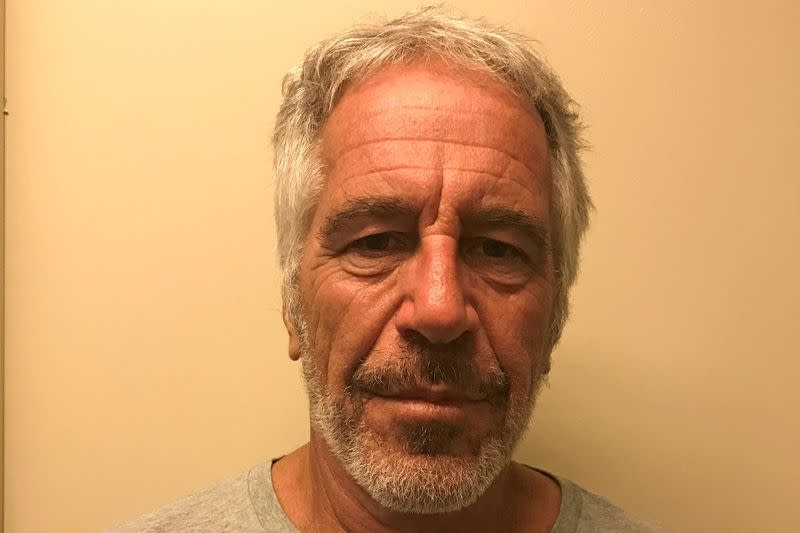 FILE PHOTO: Jeffrey Epstein appears in a photo taken for the NY Division of Criminal Justice Services' sex offender registry